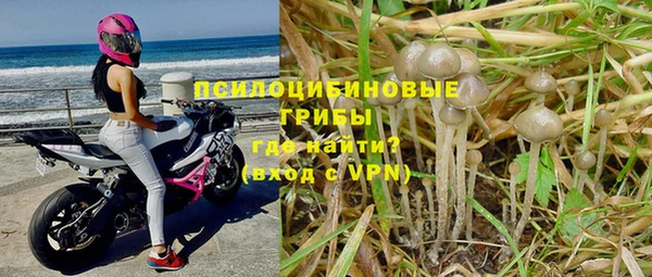 трава Алексеевка