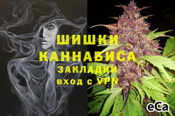 МДПВ Алзамай