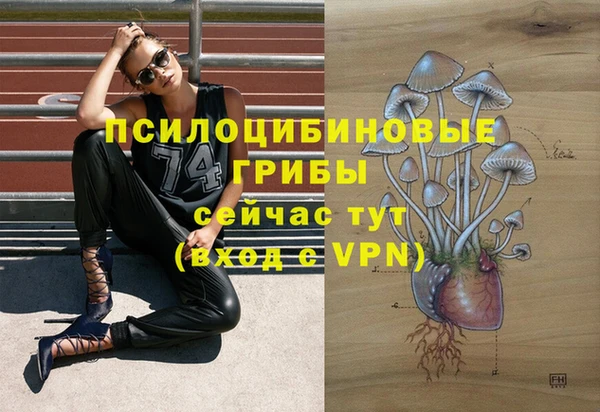 эйфоретик Алексин