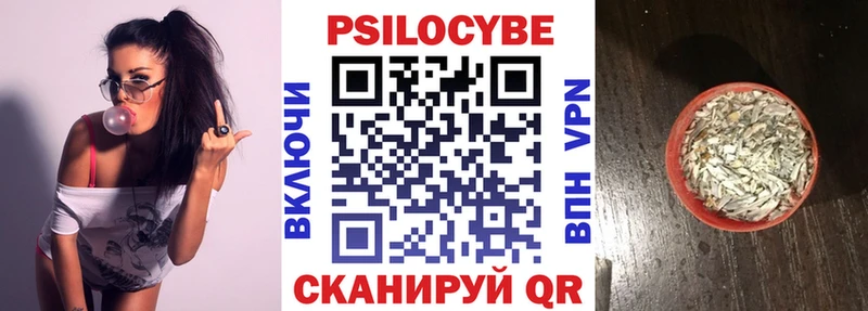 где можно купить наркотик  Краснообск  Галлюциногенные грибы Psilocybine cubensis 